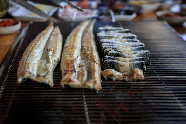 2025년-말복-날짜-복날-먹는-음식