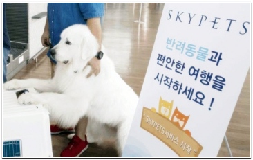 반려견 외 애완동물 비행기 탑승 비용