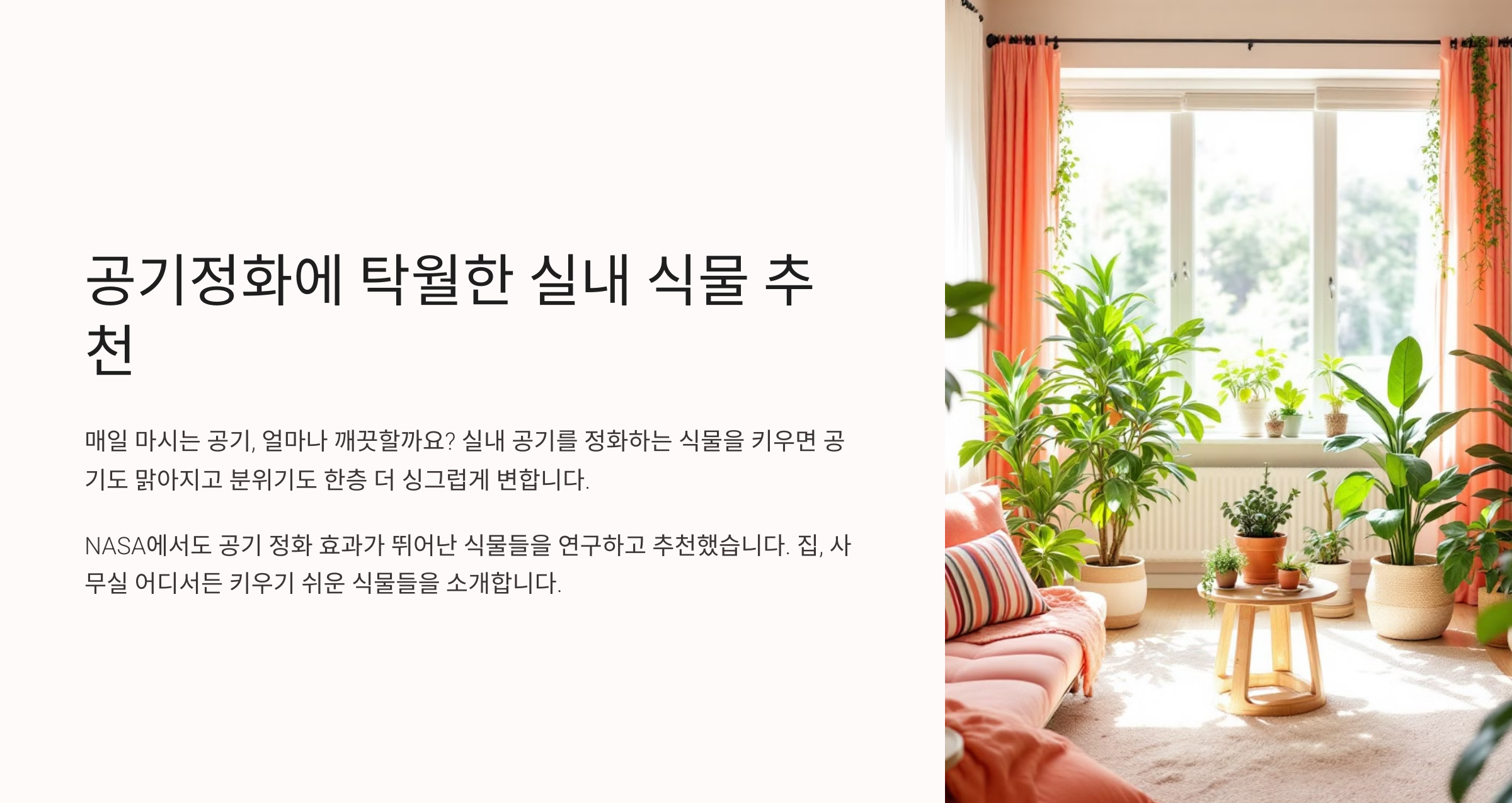 공기정화 식물 사진