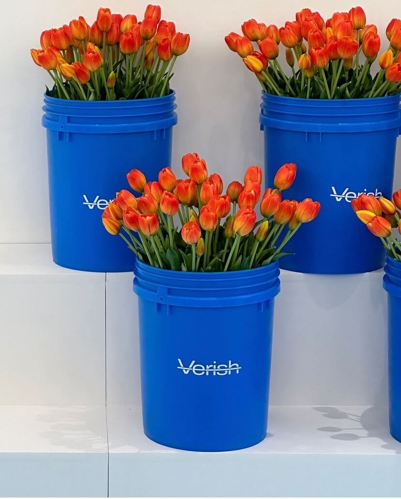 성수 베리시 팝업 일정, 이벤트 및 혜택, 사전 예약