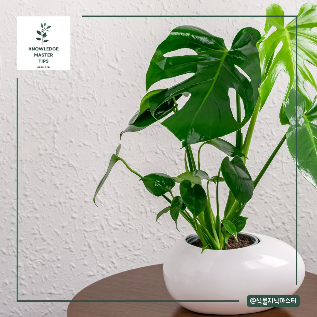 온도와 습도의 불균형