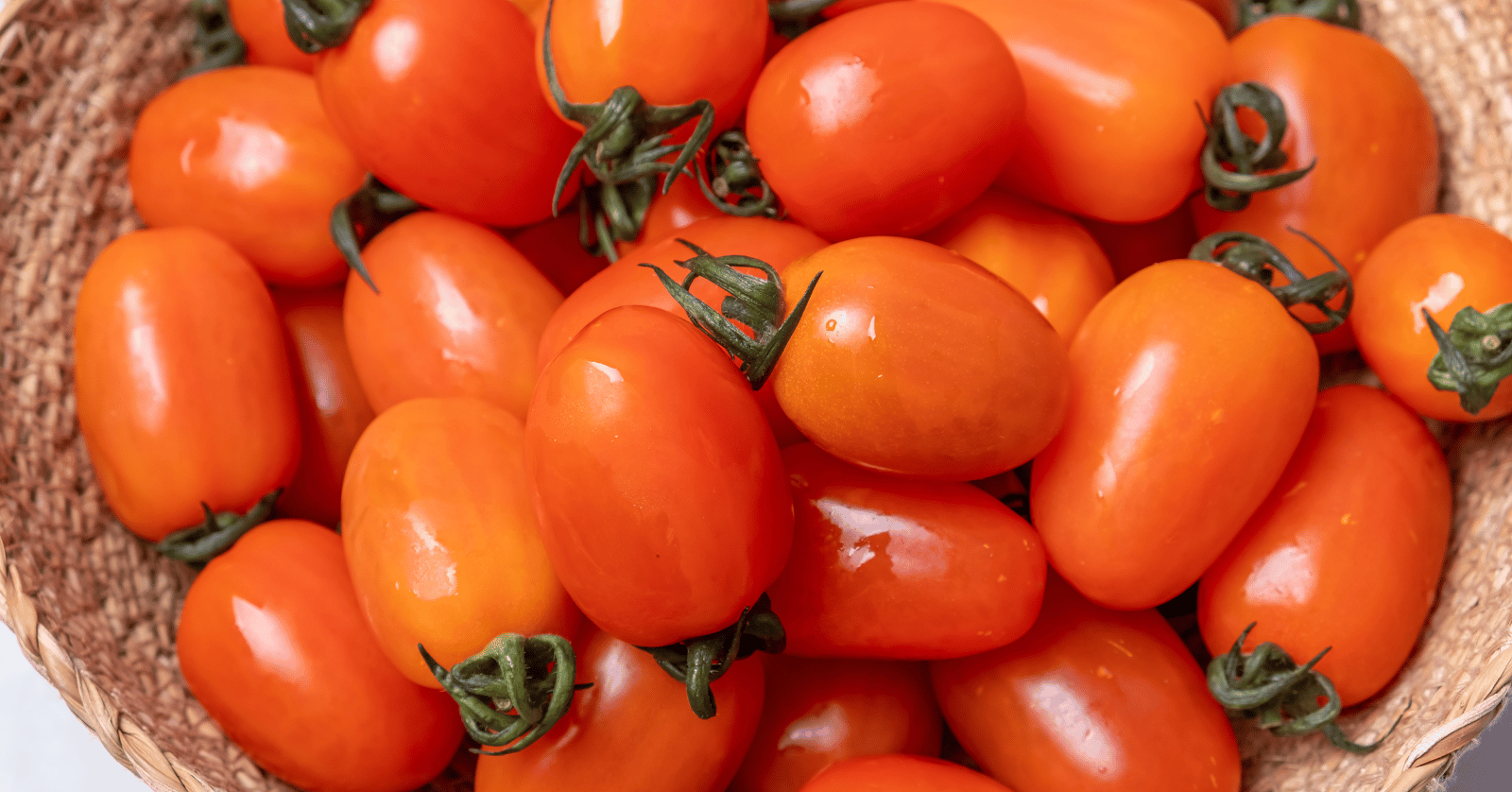 스테비아방울토마토칼로리