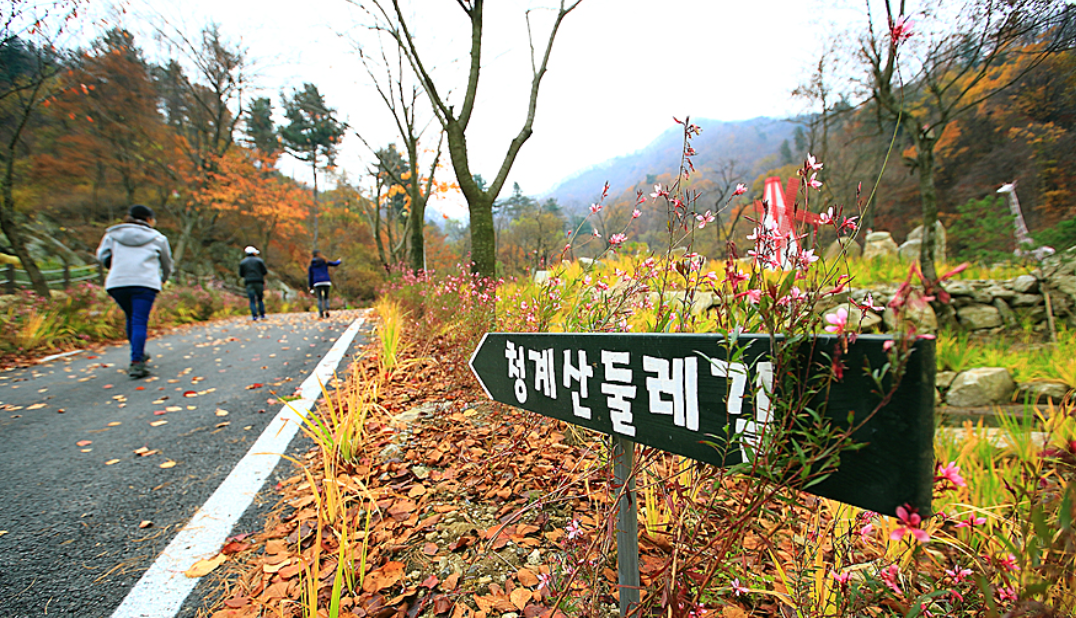 성남 청계산 옛골 코스 힐링 산책 추천