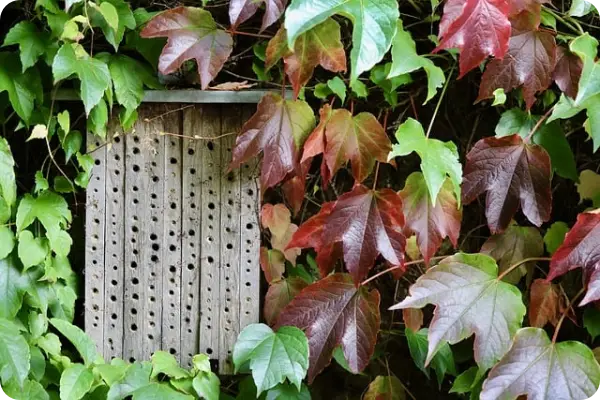 인스파이어 리조트