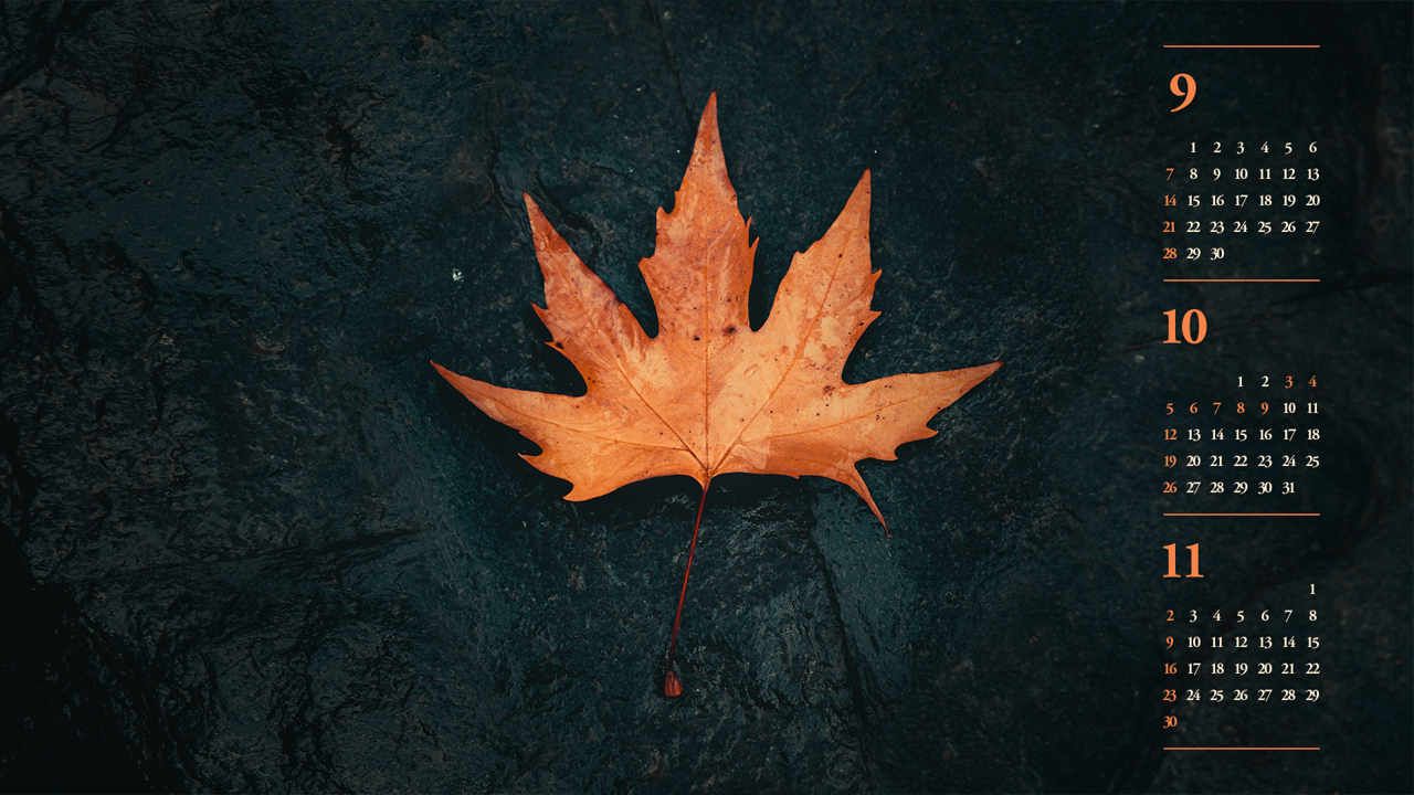04 낙엽 B - 2025년10월 노트북배경화면