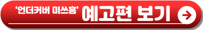 언더커버 미쓰홍