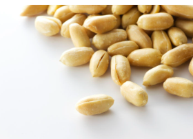 개가 땅콩 먹어도 괜찮은가