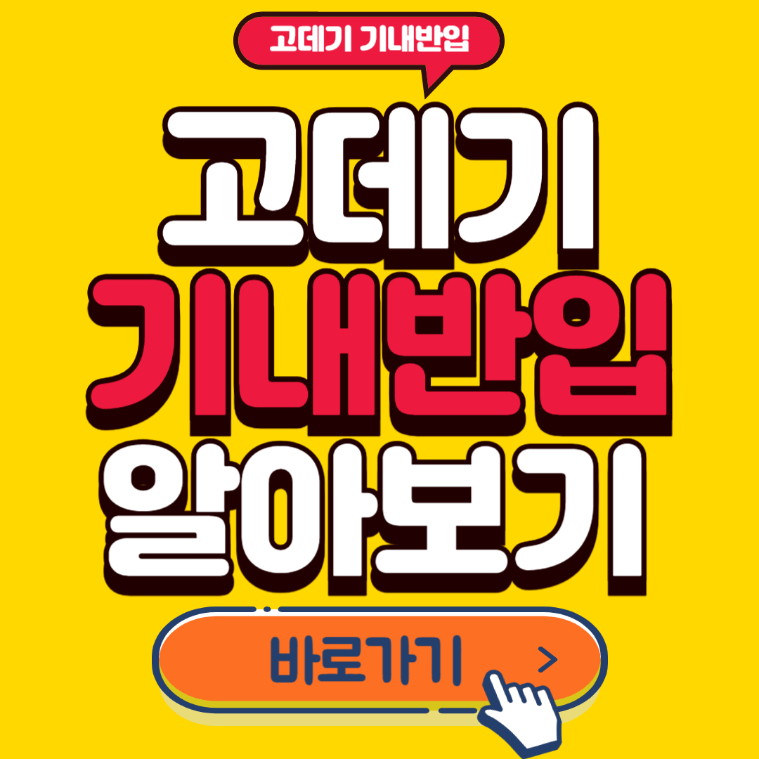 고데기 기내반입