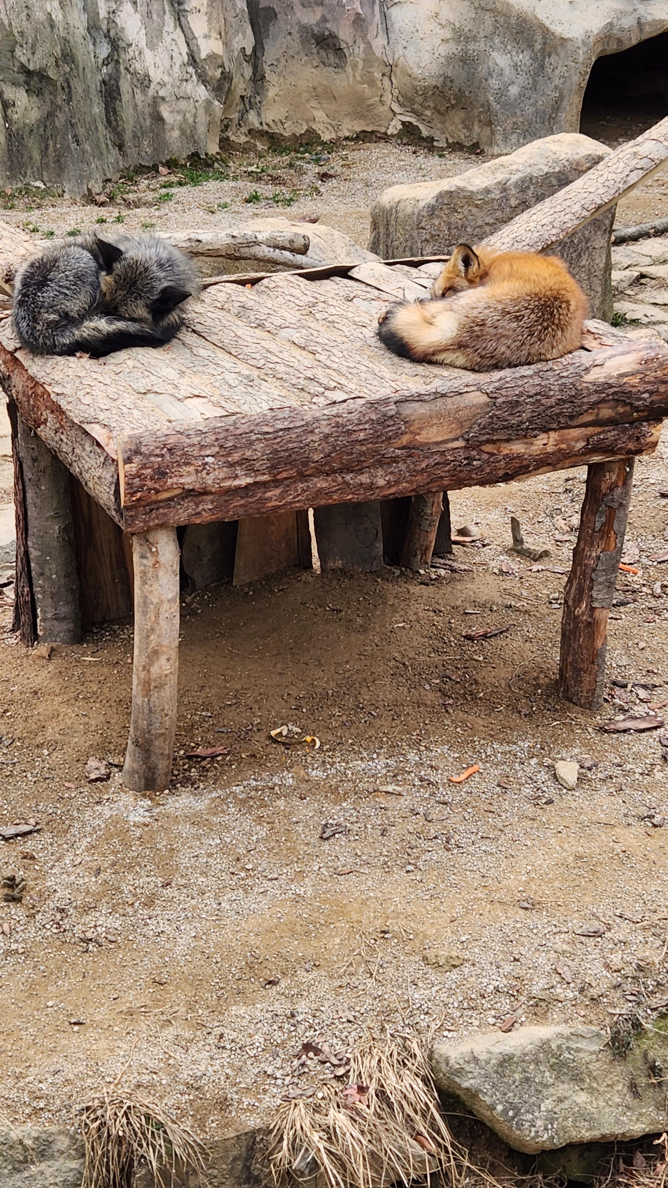 대구-네이처파크