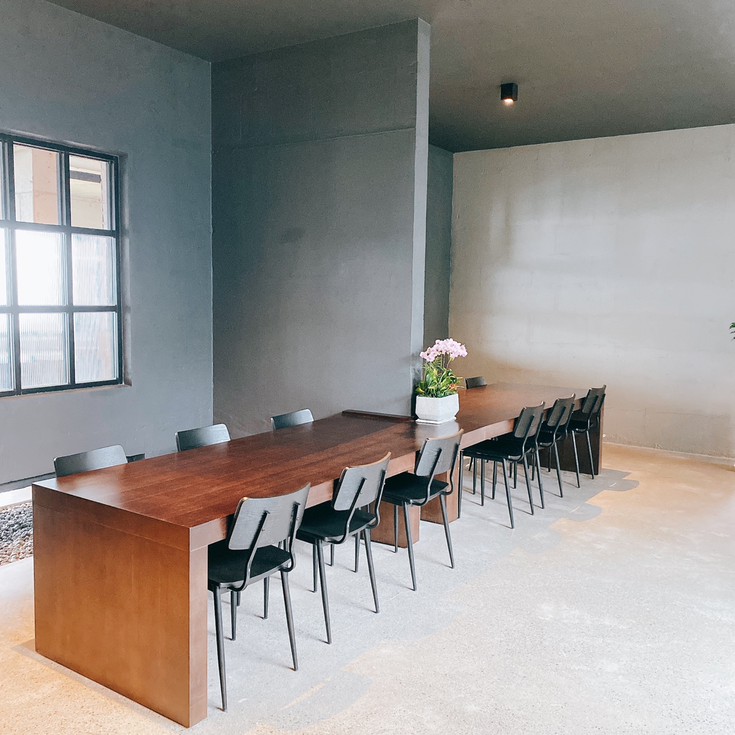 제주 신비마을 도깨비도로 벚꽃명소 레크레 카페