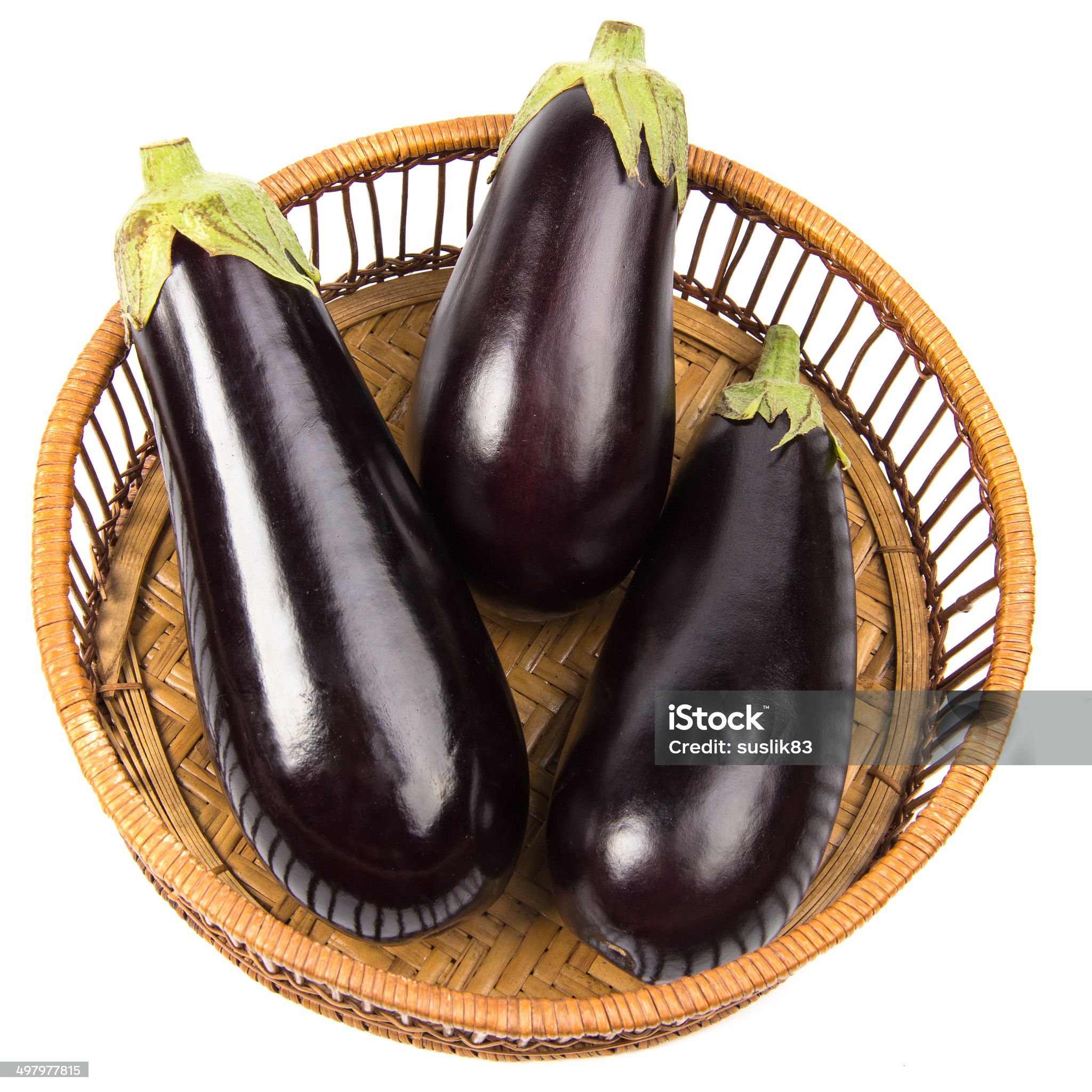 가지 관련사진
