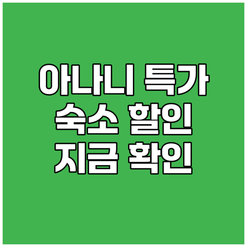 아나니 숙소 특가 할인 정보 지금 바