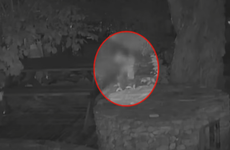 김포 83대대 해병대 비비탄 강아지 사건 정리 탄원서 서명 청원 방법 링크 총정리 7