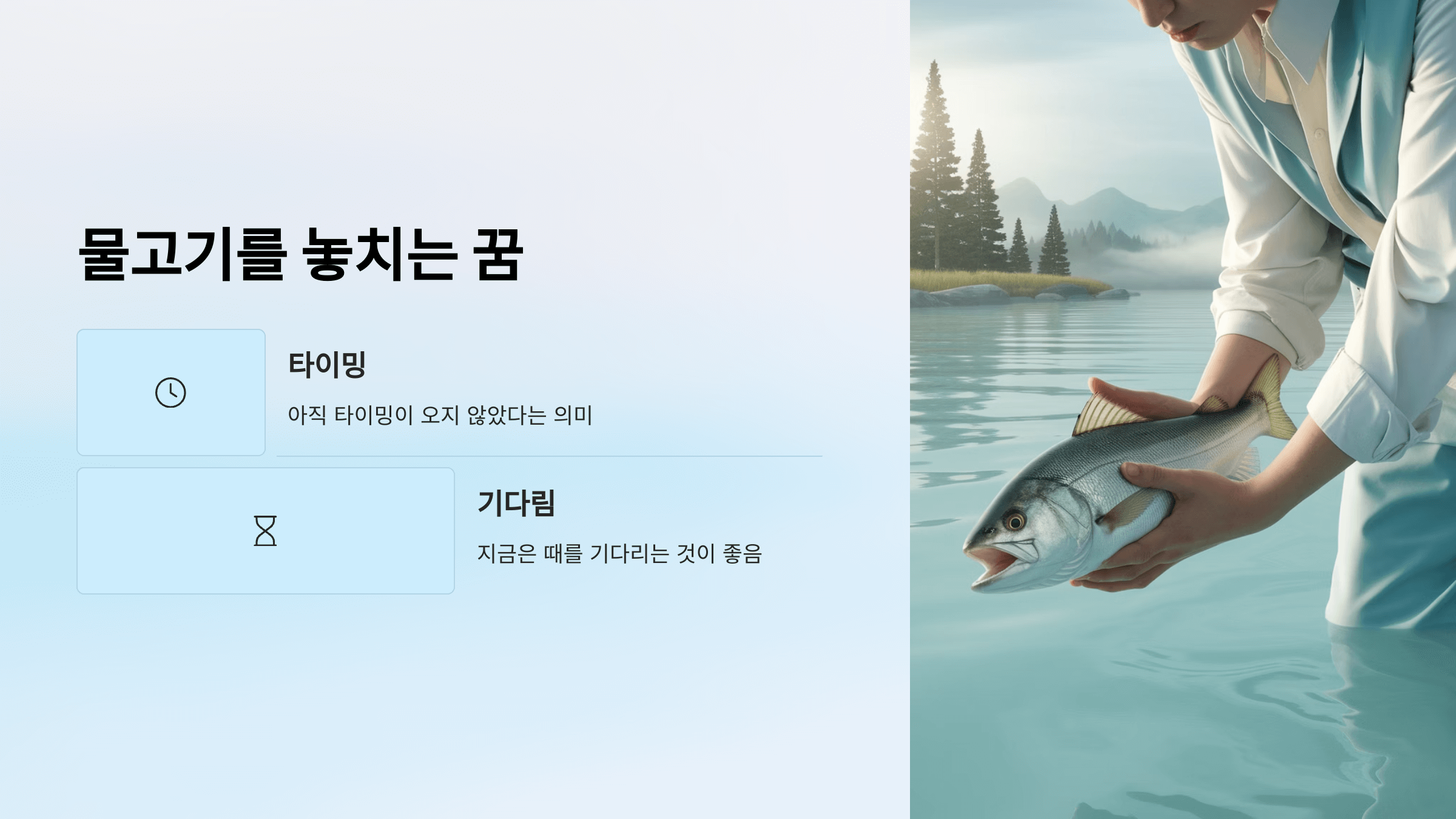 물고기 사진입니다.