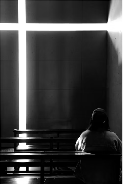 건축 속의 자연 빛, 바람, 물이 만든 공간 이야기