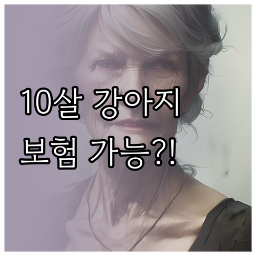 만 10세 강아지도 가입 가능한 보험..
