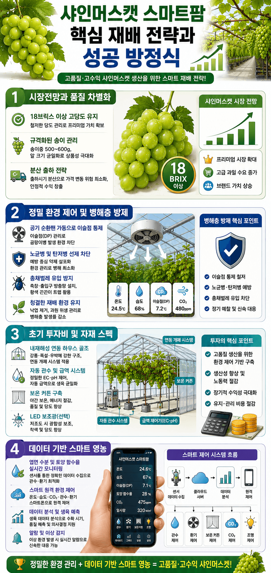 샤인머스캣 인포그래픽