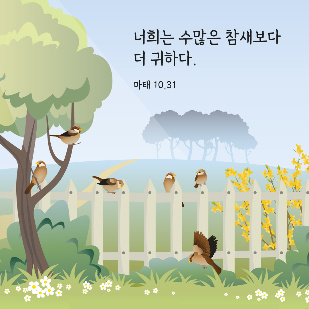 너희는 수많은 참새보다 더 귀하다. (마태 10&#44;31) 마태오복음 성경 말씀 카드 이미지 다운로드