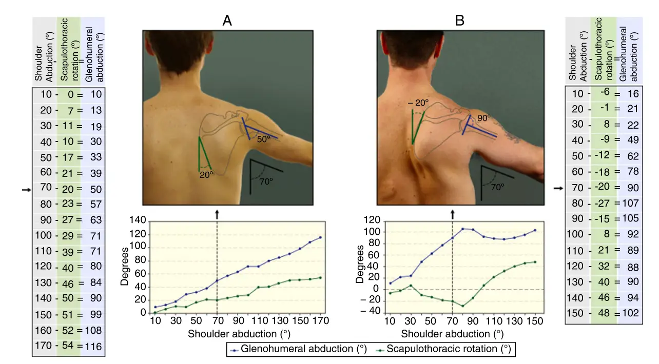 견갑골 운동이상증 임상적 측정을 통한 판별법
