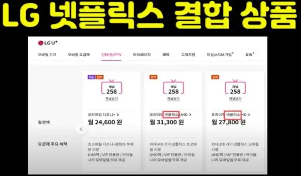 엘지유플러스-넷플릭스결합상품