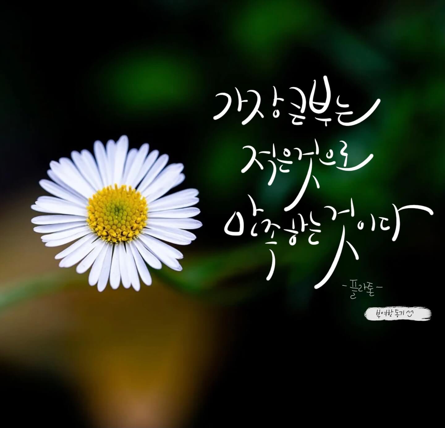 플라톤_썸네일