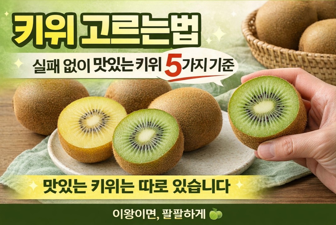 맛있는 키위 고르는법 대표 이미지 ewang88