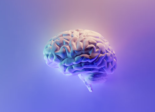 글루타치온 효능 : 뇌세포