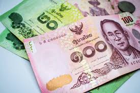 식사동 구제거리 완전 정복