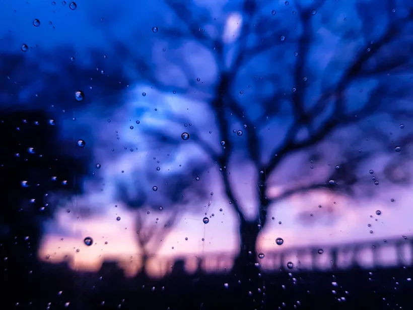 아웃포커스 사진 피사체 분리 배경 처리 색감 조절_6