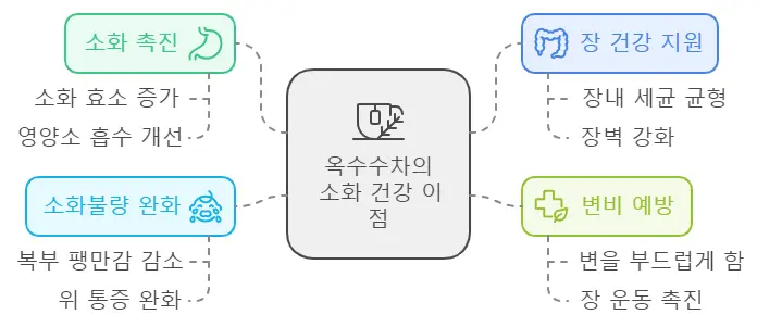 옥수수차 소화건강 이점 이미지