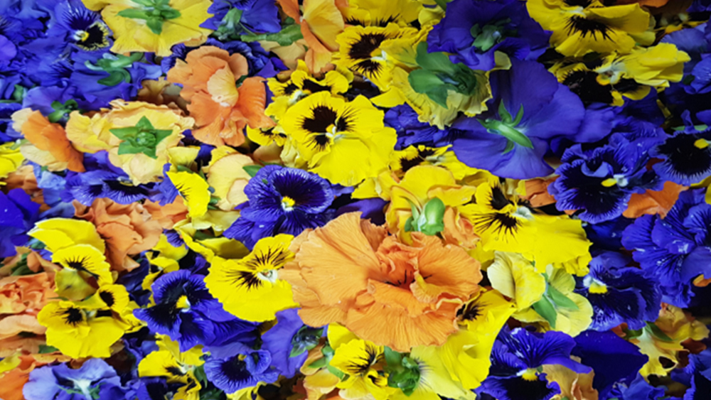 꽃차 만들기 체험