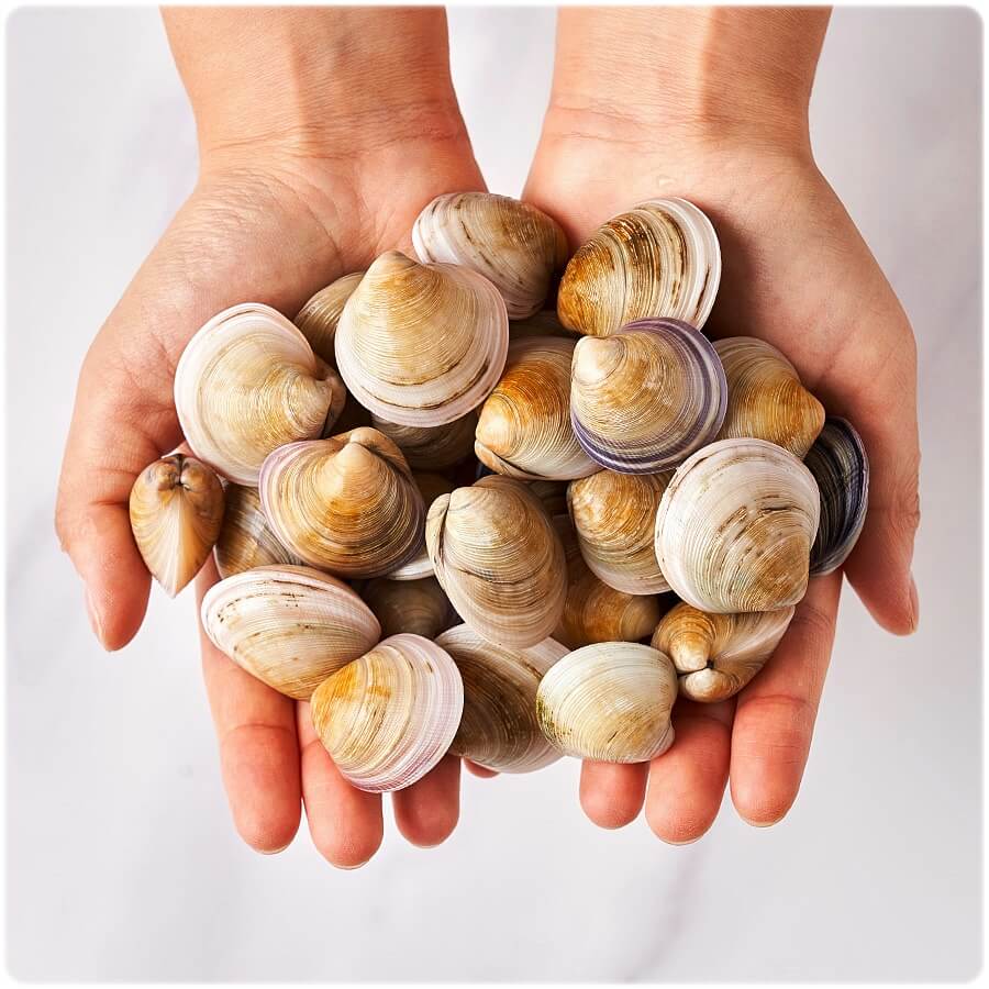 간 간암에 좋은 음식 안좋은 음식