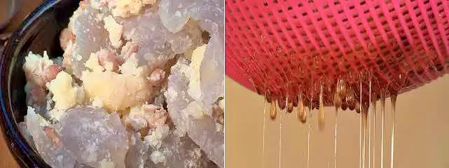 이승윤 윤택 나는 자연인이다 능이 오리 백숙 요리 공주는 즐거워 자연인 차연옥 소개 및 출연 528회 다시보기