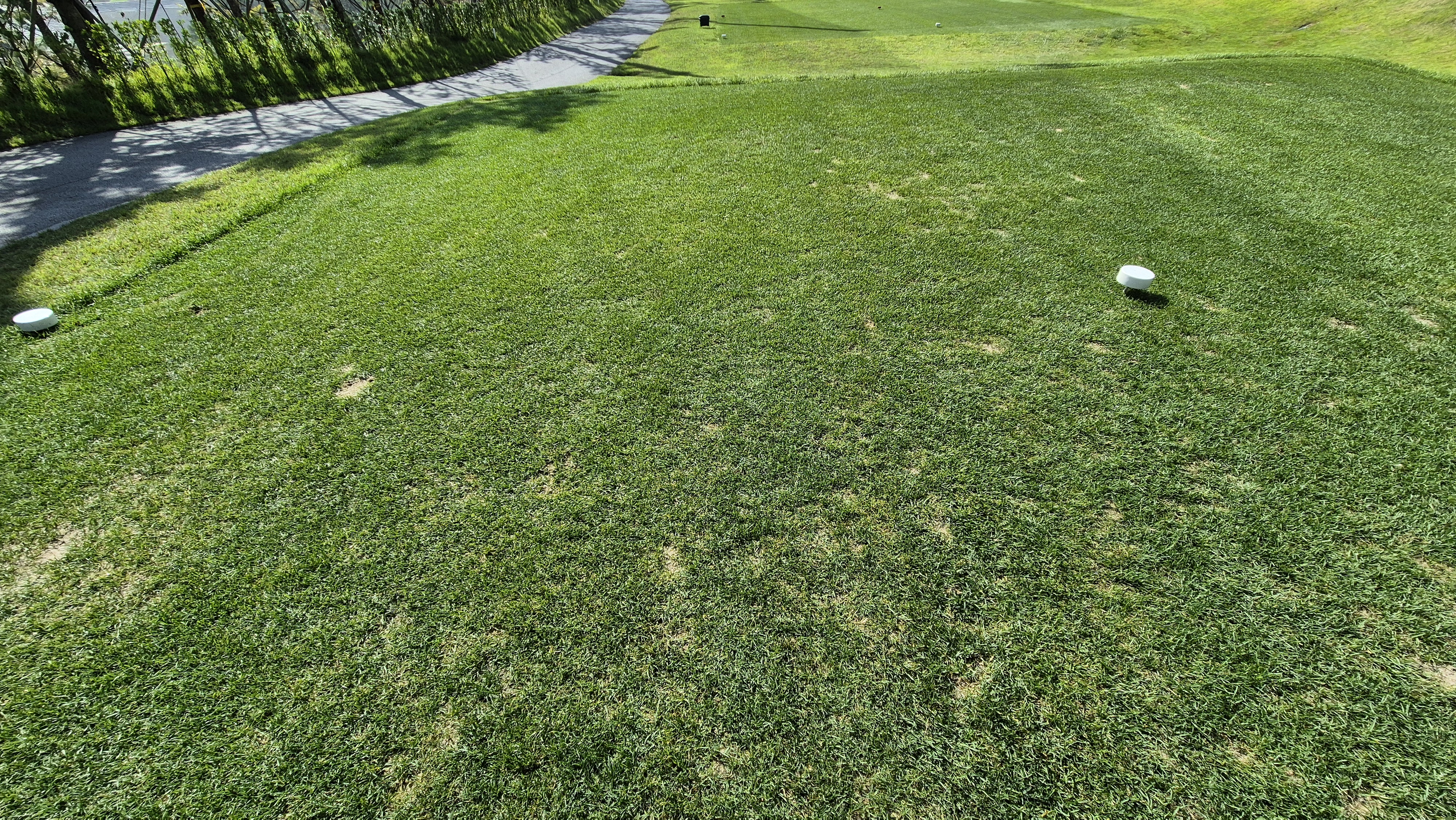 오로라cc 티잉구역 상태