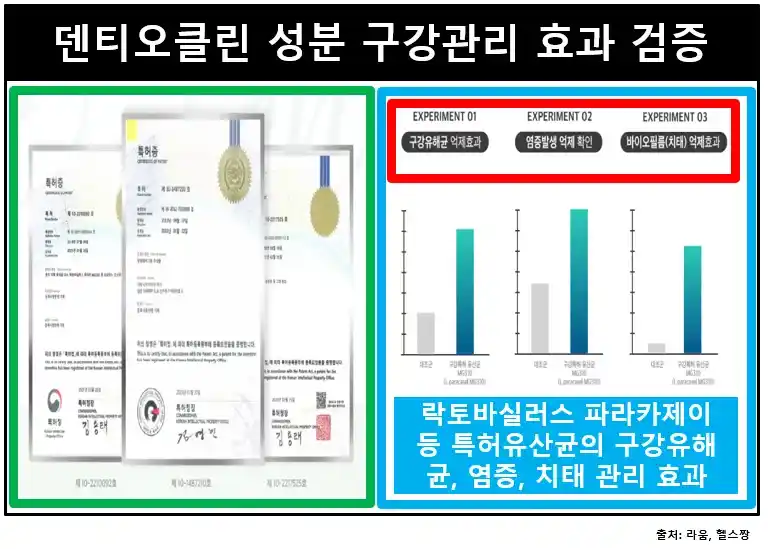 덴티오클린효과