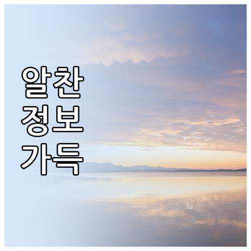 이사 비용 절약 필수 정보 현명한 견..