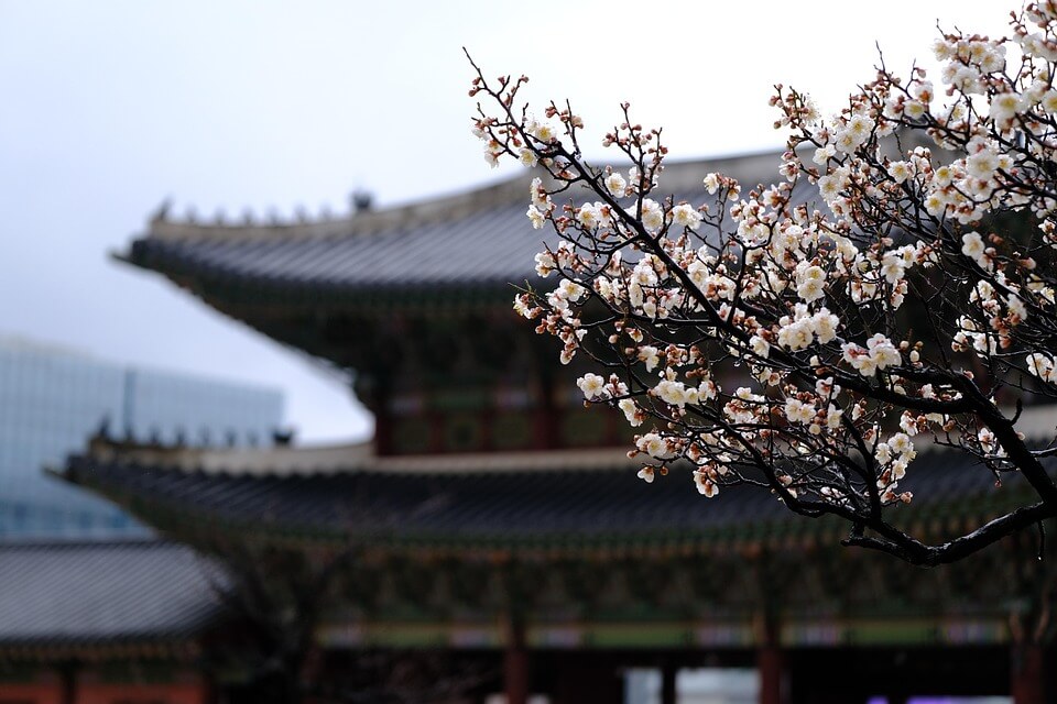 창덕궁 달빛 기행