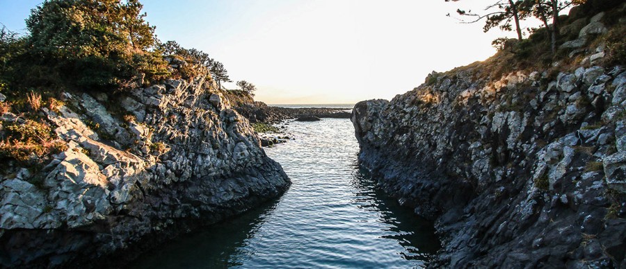 제주도 스노쿨링