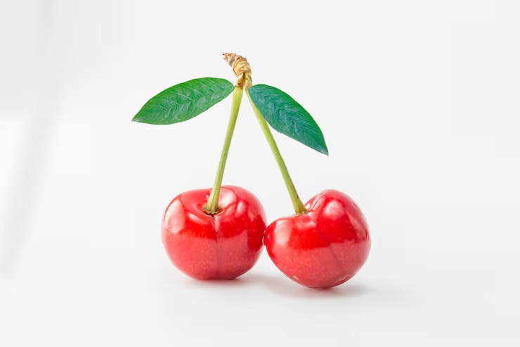 체리 효능