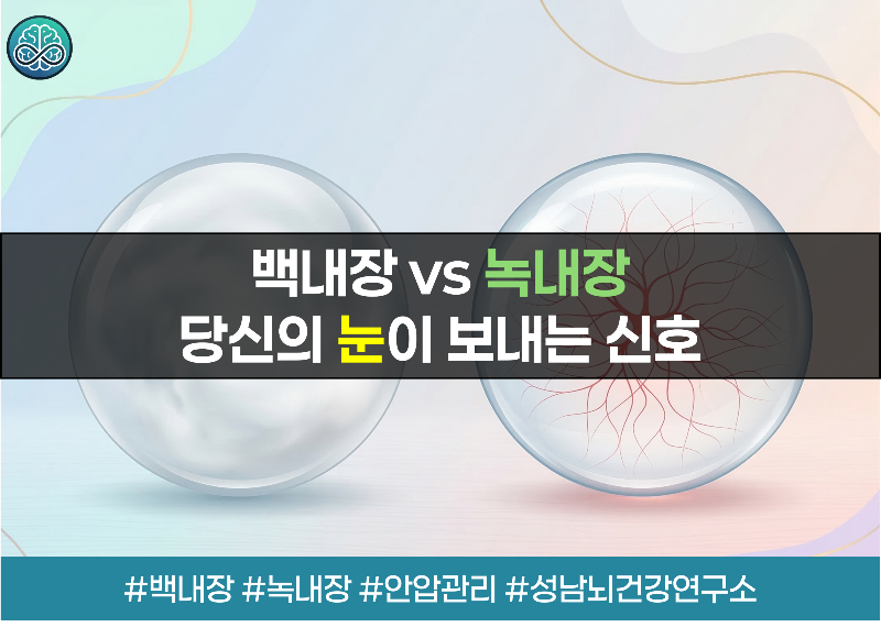 녹내장 vs 백내장 차이점 완벽 정리 - 방치하면 안 되는 눈 신호