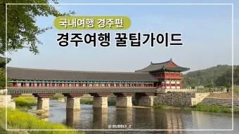경주 여행 1박 2일 기차 여행 50퍼센트 할인 받는 초간단 방법 반하다 경북_20