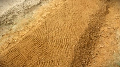 상추-노지재배-파종시기-파종방법-심는방법-밑거름주기