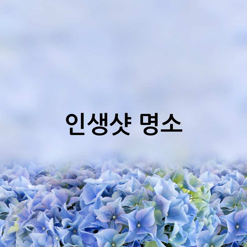 경남 고성 그레이스정원 수국축제