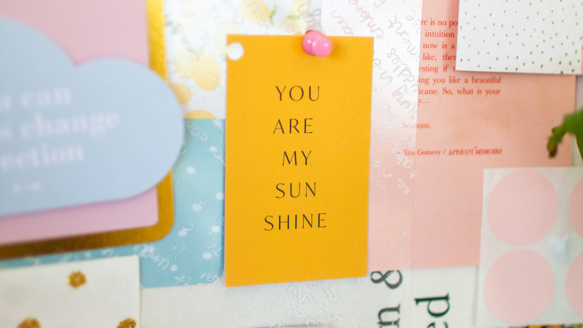 연말 인사말 문구 감사 안부 문자