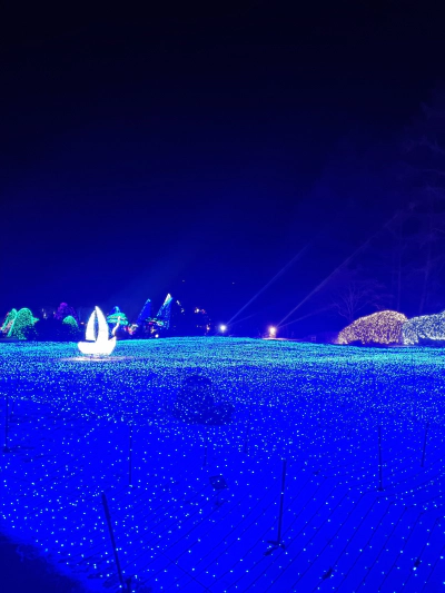 가평 아침고요수목원 빛축제 가족여행 후기