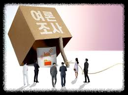 여론조사와 설문조사