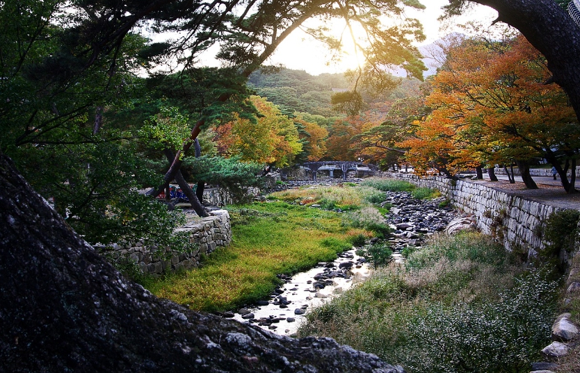 기도문(나라를 위한 기도)