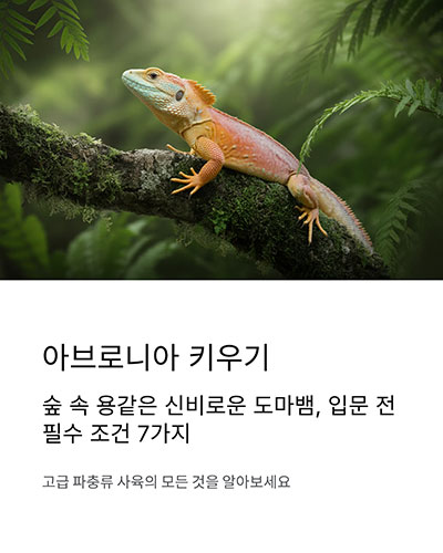아브로니아 키우기, 나무 위 도마뱀을 위한 고급 사육 가이드