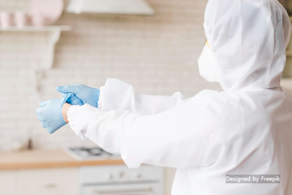 좀벌레 생기는 이유