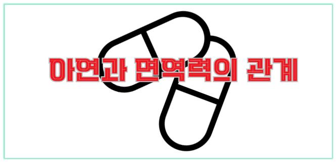 아연과 면역력의 관계 알아보기